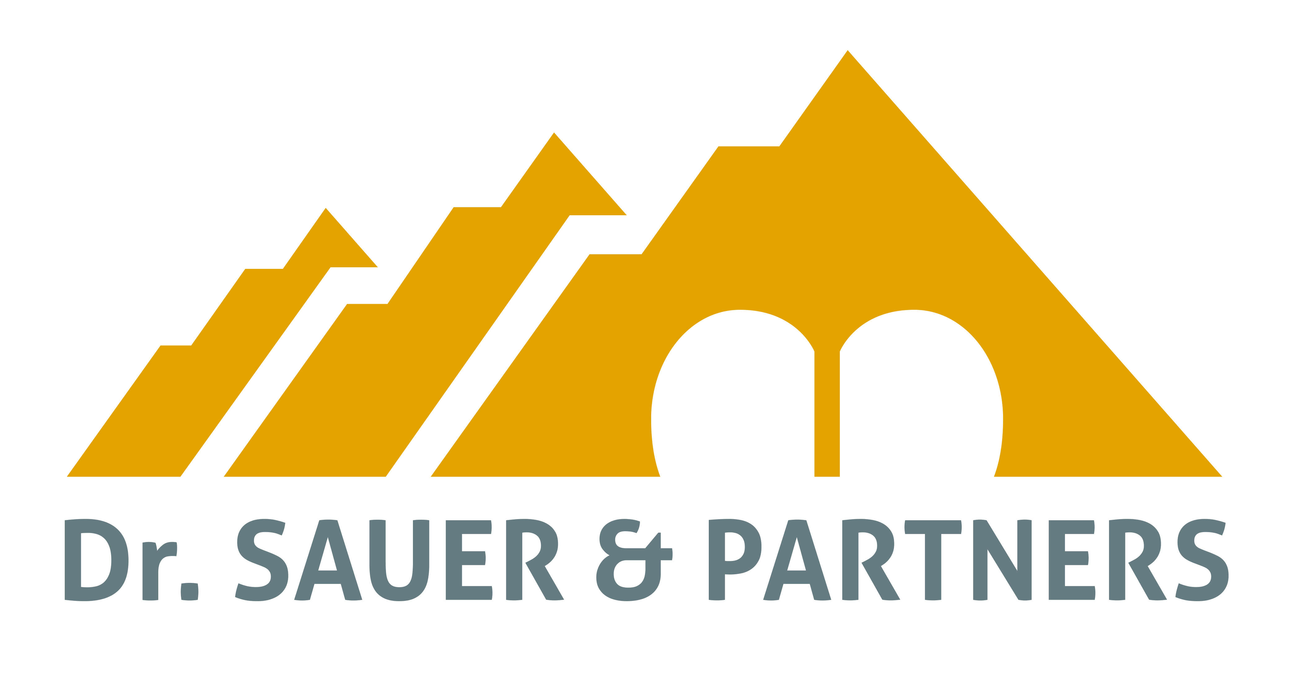 Dr. G Sauer & Partners Corp.
